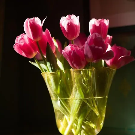 ロカンダ ヴィヴァルディ 4* ヴェネツィア